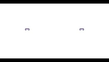 One Wild Night in Vegas