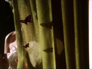 Brunette hookup amateur blowjob and dirtytalk sexdate